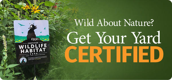 Certifying Your Yard or Garden as a Wildlife Habitat